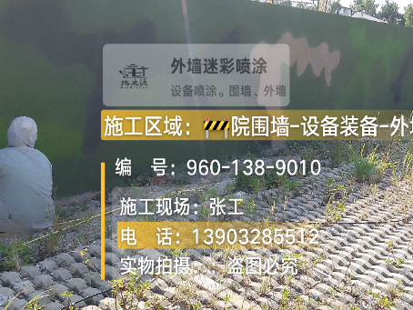 西双版纳外墙迷彩漆材料价约 45-60 元 /k