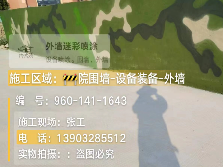 西双版纳 迷彩漆喷涂价格（按平方米计费）