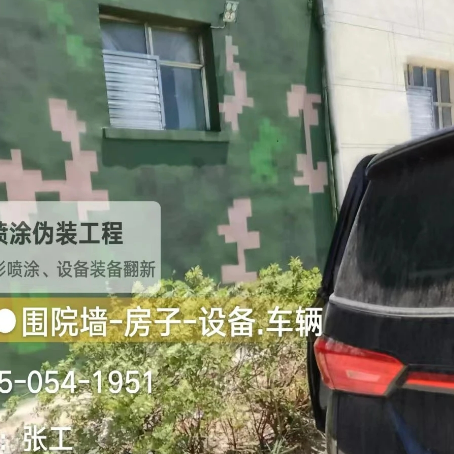 西双版纳数码迷彩漆施工